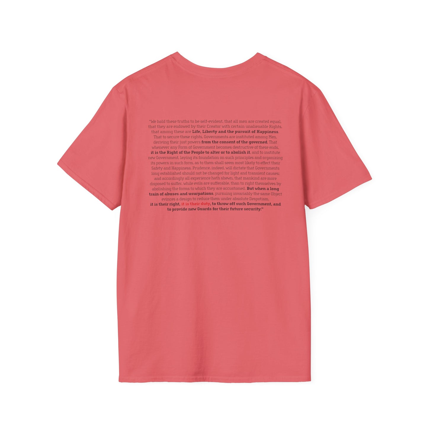 "No Kings 2.0: Declaration on Back"