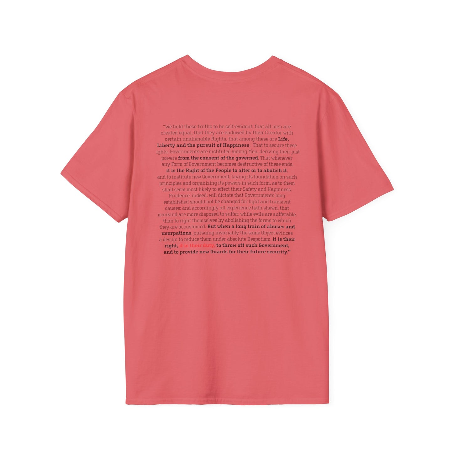 "No Kings 3.0: Declaration on Back"