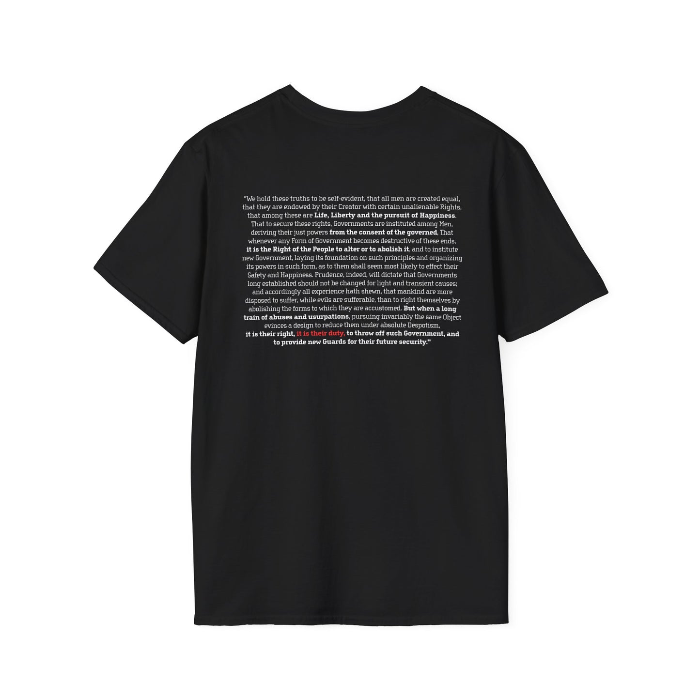 "No Kings 2.0: Declaration on Back"